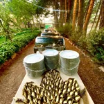 photo_2025-10-20 18.51.29 (1)_result