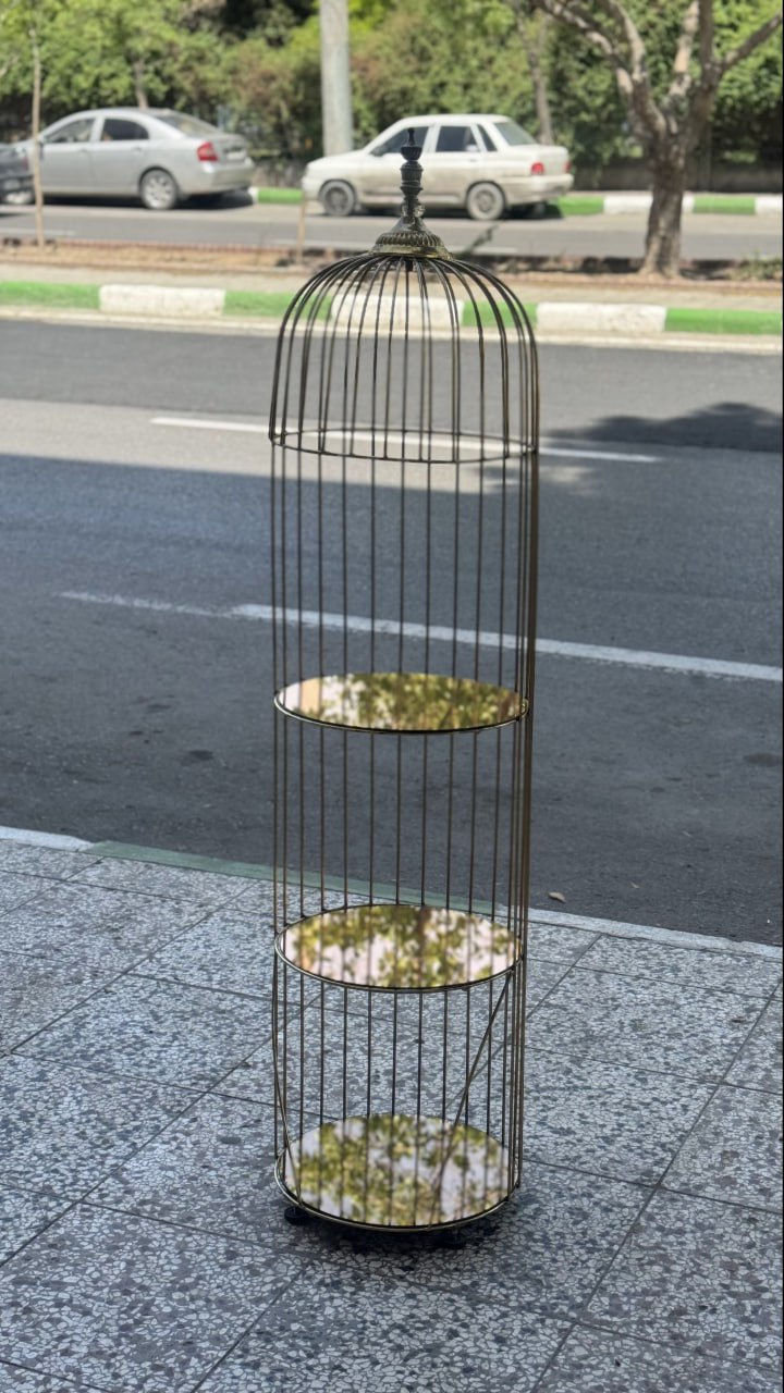 photo_2025-11-25 19.39.43 (1)