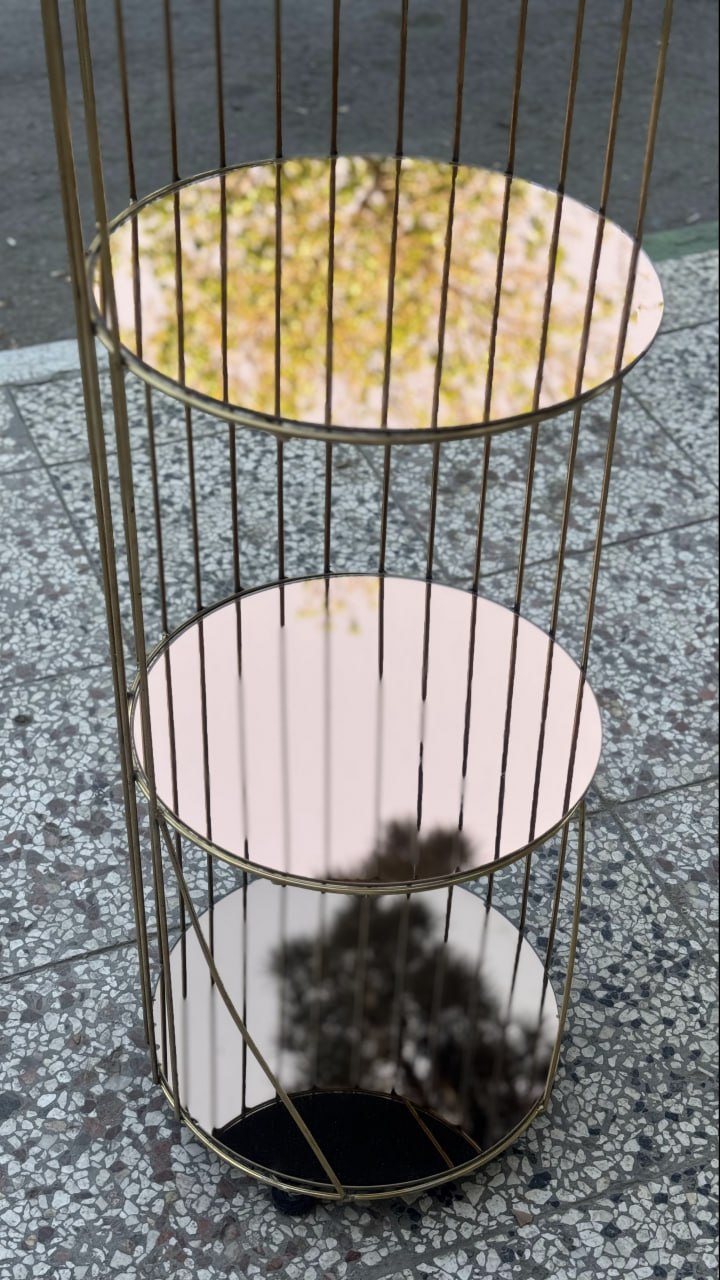 photo_2025-11-25 19.39.44