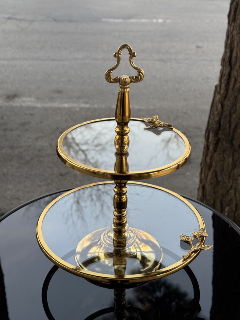 photo_2025-11-25 19.39.48