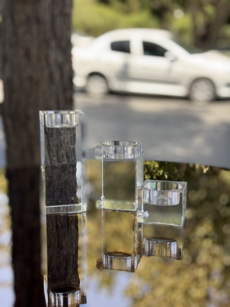 photo_2025-11-25 19.39.56