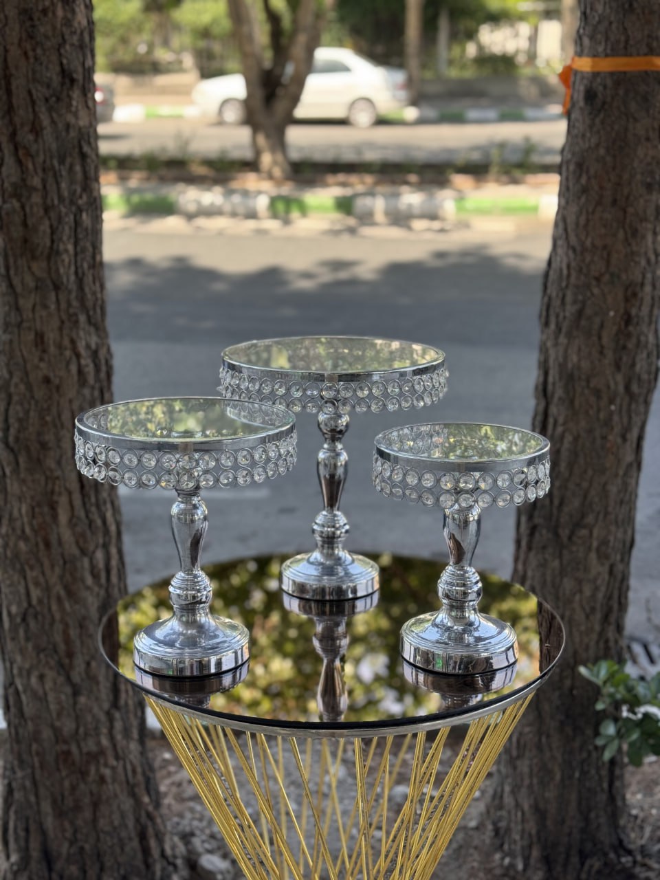 photo_2025-11-25 19.39.57 (1)