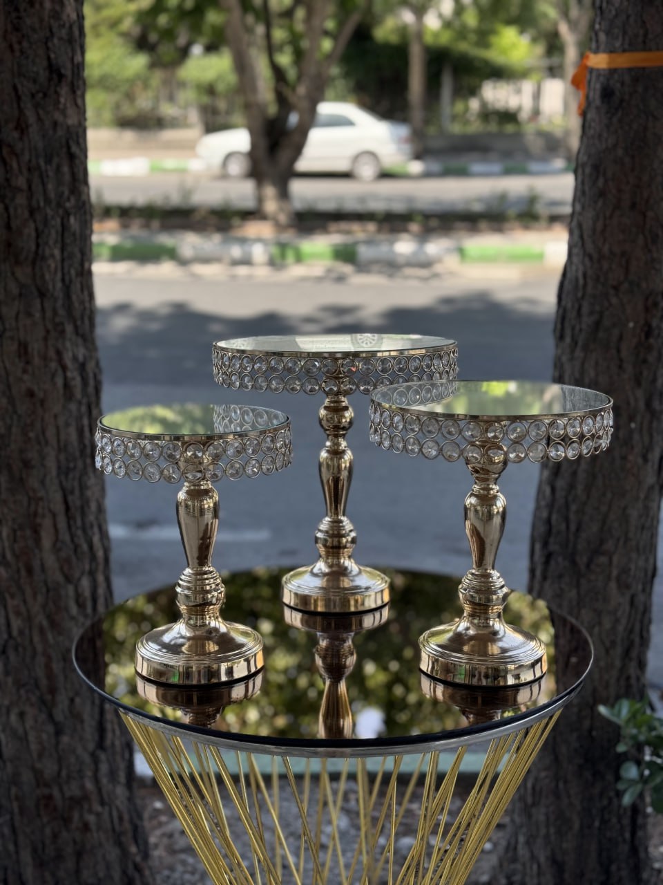 photo_2025-11-25 19.40.05