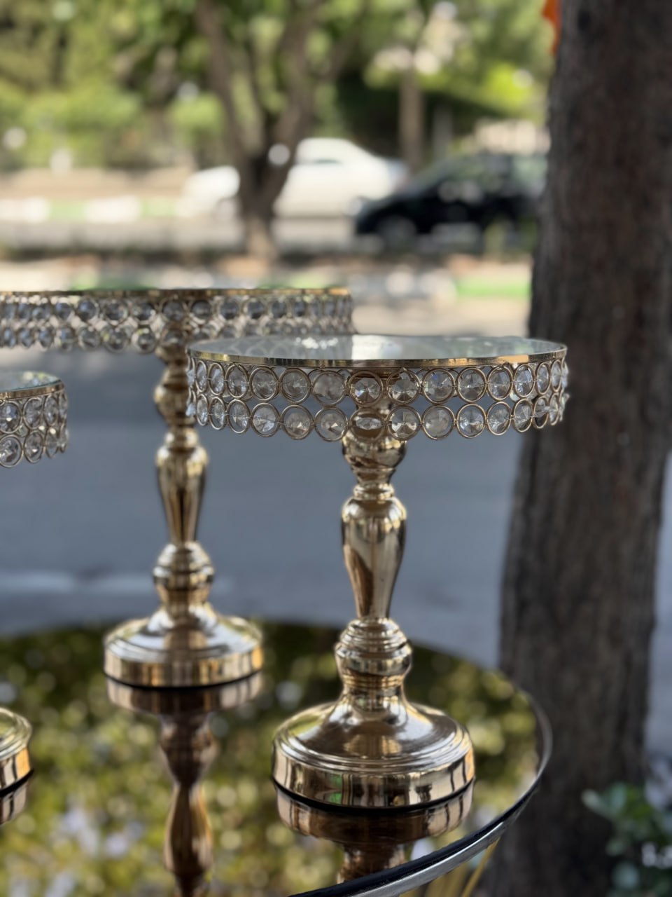 photo_2025-11-25 19.40.06