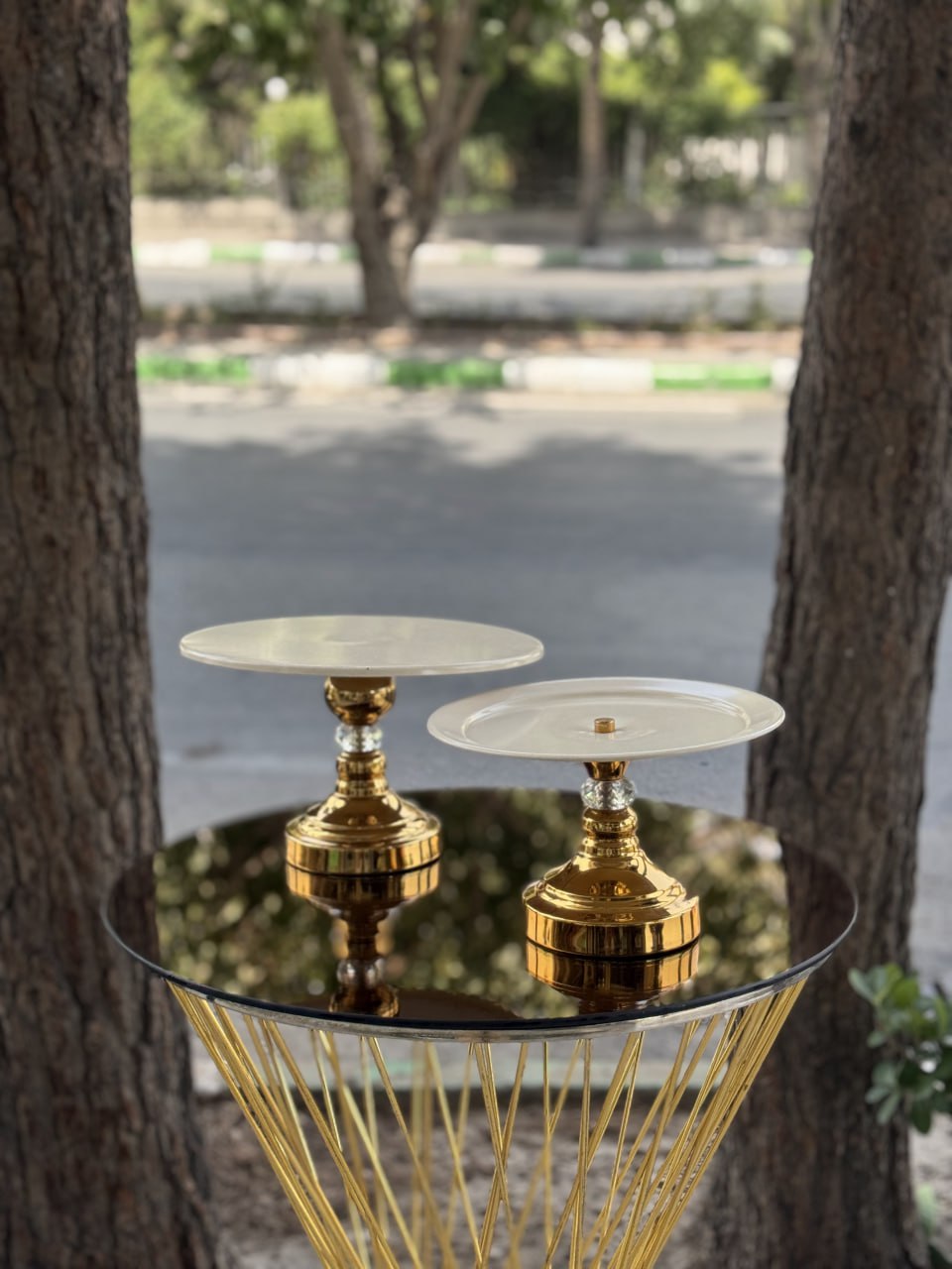 photo_2025-11-25 19.40.15