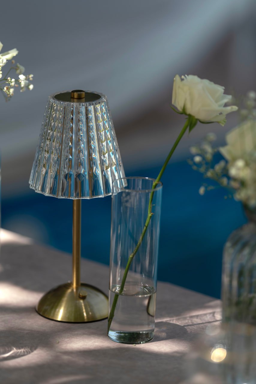 photo_2025-11-25 19.47.13