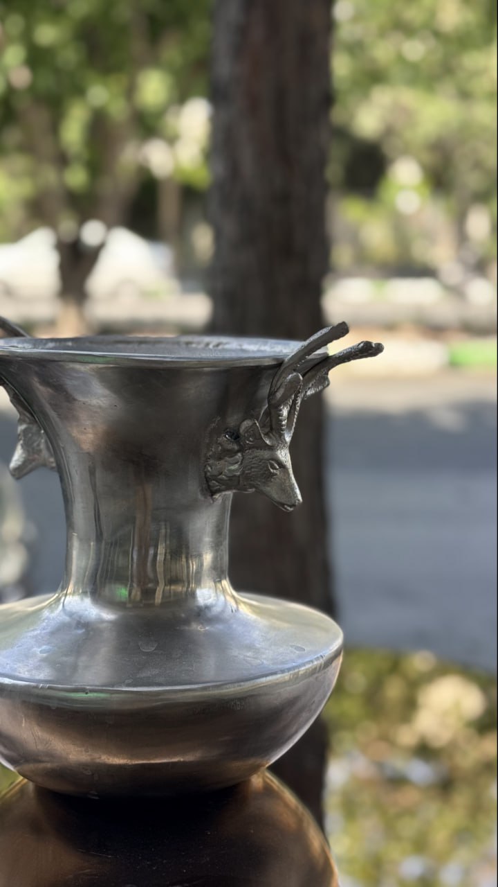 photo_2025-11-25 19.47.14