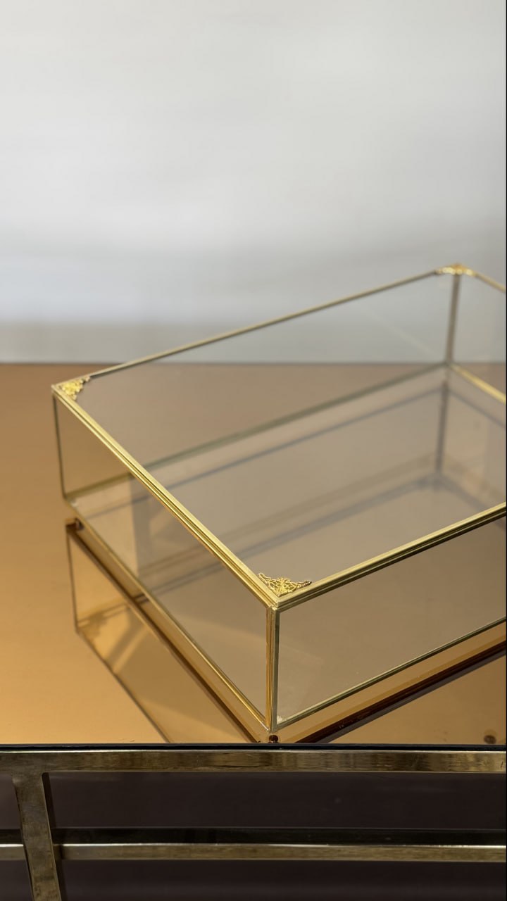 photo_2025-11-25 19.47.20