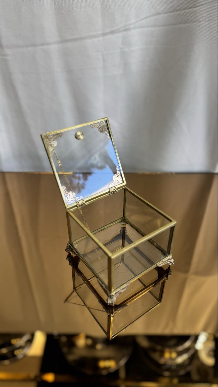 photo_2025-11-25 19.47.24