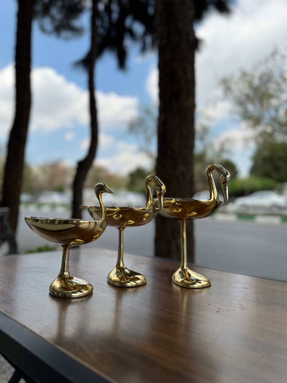 photo_2025-11-25 19.50.16 (1)