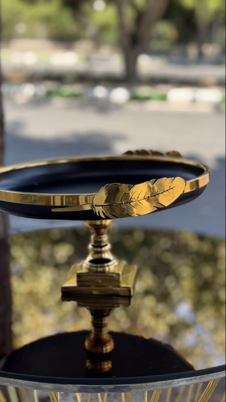 photo_2025-11-25 19.50.18