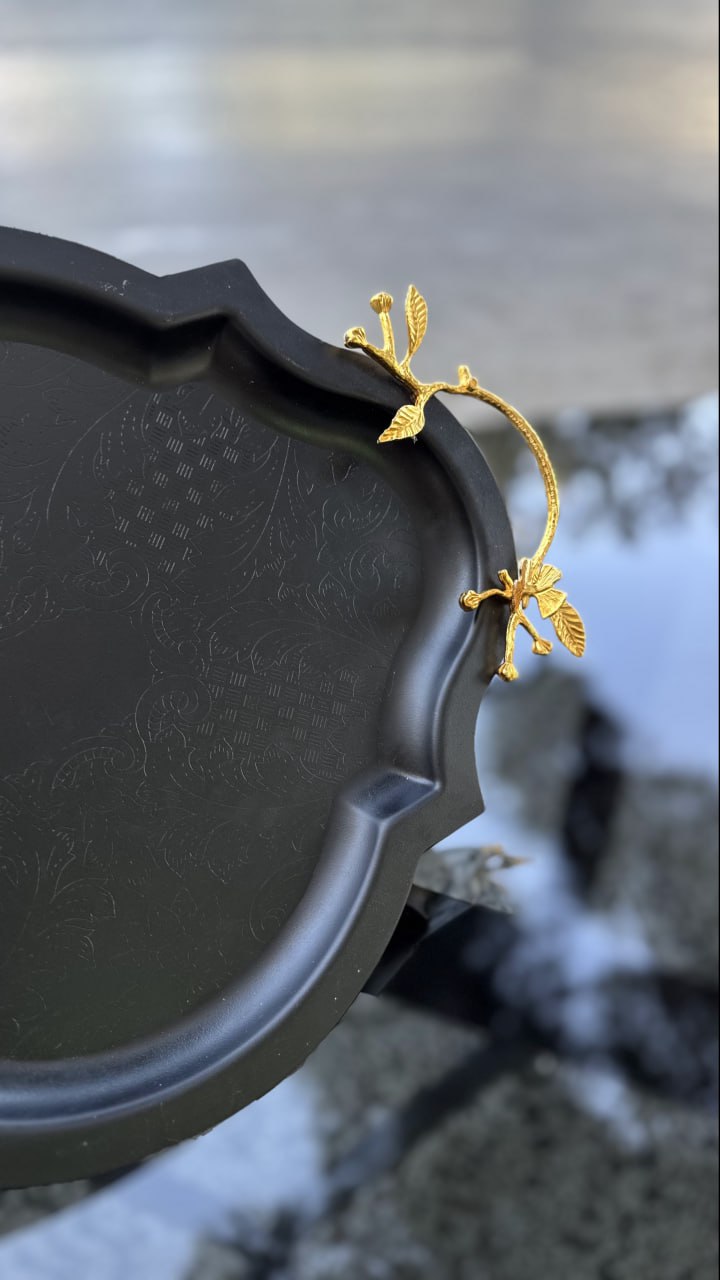 photo_2025-11-25 19.50.24