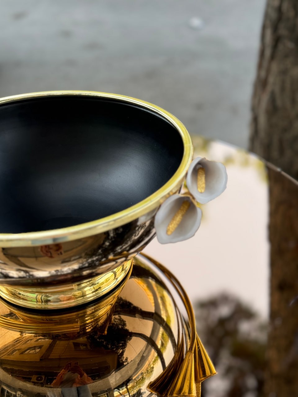 photo_2025-11-25 19.58.51