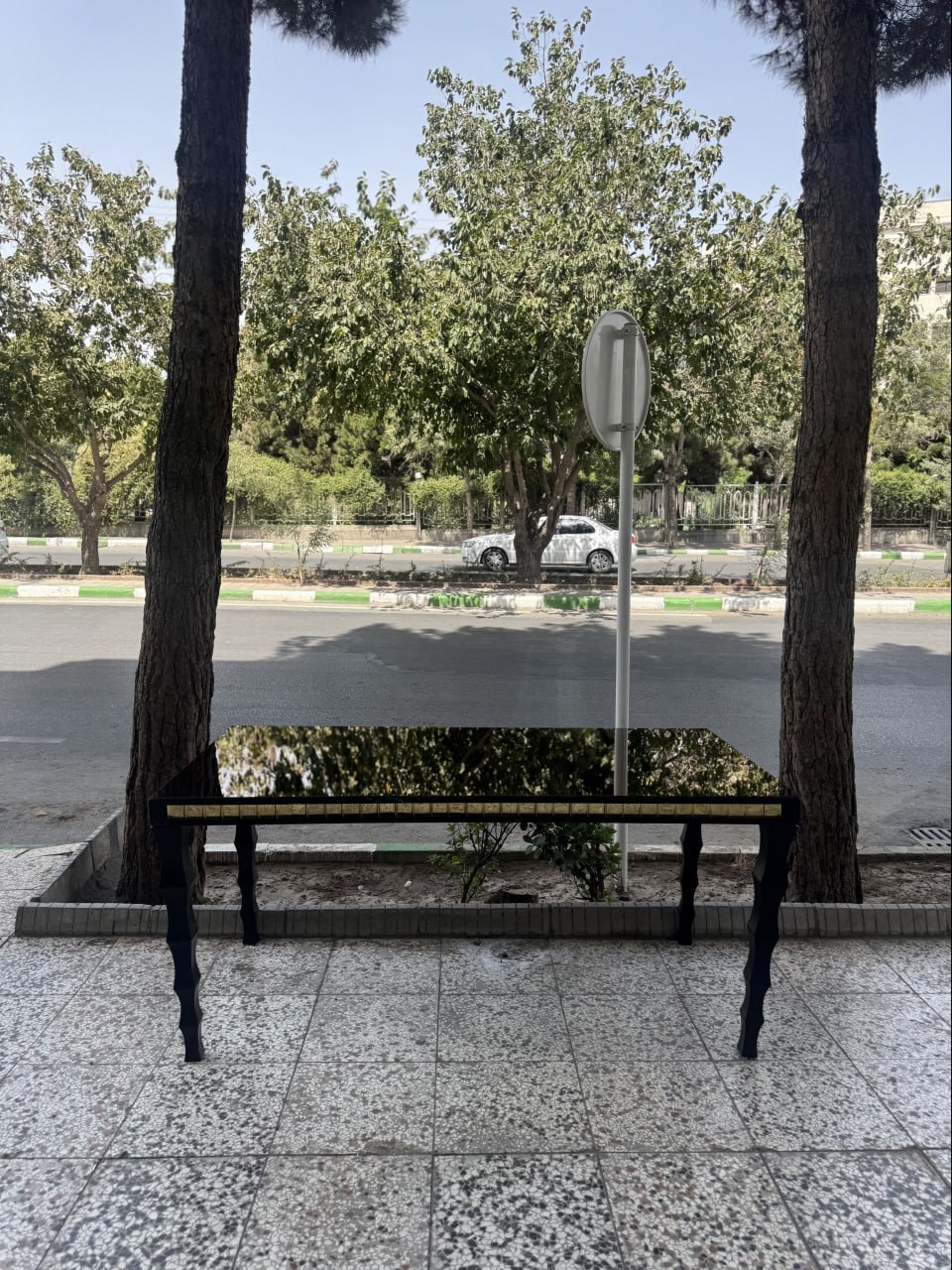 photo_2025-11-25 20.07.29